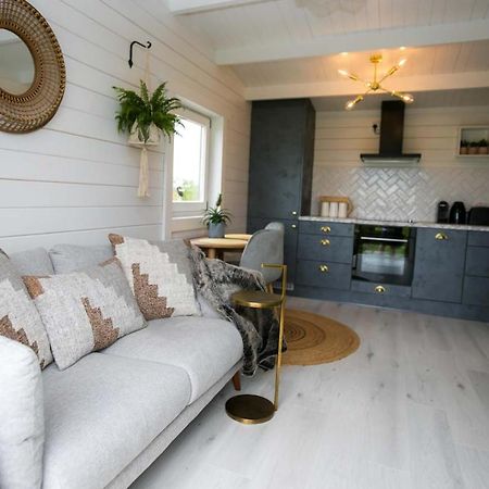The Paddocks Cabin - Stylish, Cozy & Private 킬라니 외부 사진