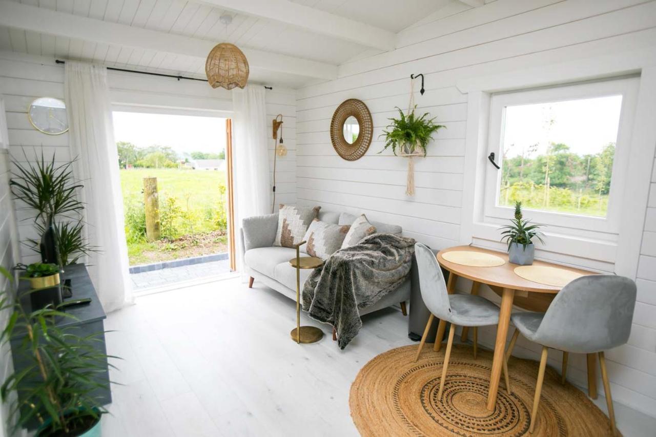 The Paddocks Cabin - Stylish, Cozy & Private 킬라니 외부 사진